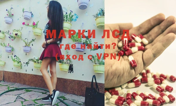 спиды Армянск