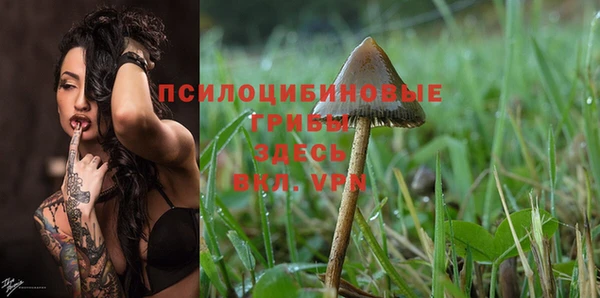 тгк Нязепетровск
